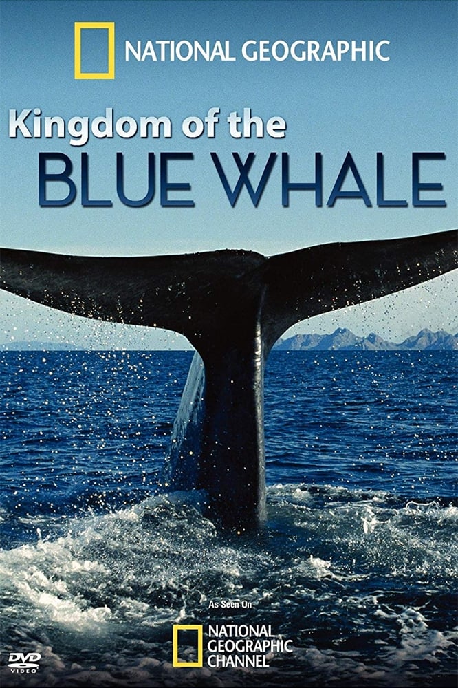 Постер Kingdom of the Blue Whale